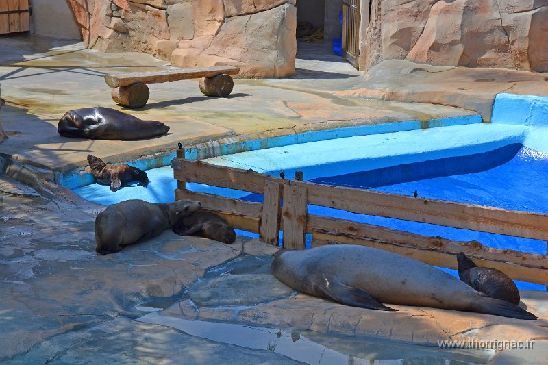 Marineland aout 2014 53.JPG - Marineland - Parc d'attractions aquatiques - Antibes - Août 2014